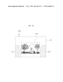 TRANSPARENT DISPLAY APPARATUS AND METHOD FOR OPERATING THE SAME diagram and image