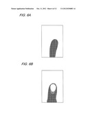 DISPLAY DEVICE INCLUDING OPTICAL SENSORS diagram and image