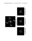 IMAGE STABILIZATION AND SHIFTING IN A LIQUID CRYSTAL LENS diagram and image