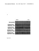 COMPOUNDS AND METHODS FOR THE TREATMENT OF RENAL DISEASE diagram and image