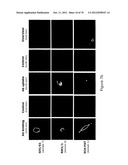 Agents, Uses and Methods diagram and image