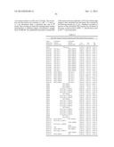 Dual Variable Domain Immunoglobulins and Uses Thereof diagram and image