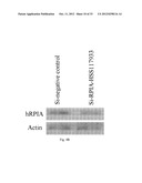 METHOD FOR INDUCING CANCER CELL APOPTOSIS OR INHIBITING THE CANCER CELL     MIGRATION diagram and image