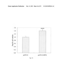 METHOD FOR INDUCING CANCER CELL APOPTOSIS OR INHIBITING THE CANCER CELL     MIGRATION diagram and image