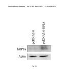 METHOD FOR INDUCING CANCER CELL APOPTOSIS OR INHIBITING THE CANCER CELL     MIGRATION diagram and image