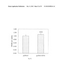 METHOD FOR INDUCING CANCER CELL APOPTOSIS OR INHIBITING THE CANCER CELL     MIGRATION diagram and image