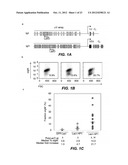 GENERATION OF ANTI-FN14 MONOCLONAL ANTIBODIES BY EX-VIVO ACCELERATED     ANTIBODY EVOLUTION diagram and image