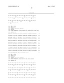 GENERATION OF ANTI-FN14 MONOCLONAL ANTIBODIES BY EX-VIVO ACCELERATED     ANTIBODY EVOLUTION diagram and image