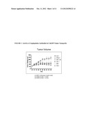 Antibodies Directed to Angiopoietin-1 and Angiopoietin-2 and Uses Thereof diagram and image