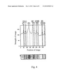 MYCOBACTERIUM TUBERCULOSIS FUSION PROTEIN AND USES THEREOF diagram and image