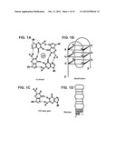 SUPPRESSORS OF CpG OLIGONUCLEOTIDES AND METHODS OF USE diagram and image