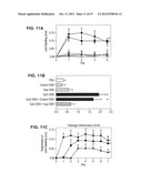 SUPPRESSORS OF CpG OLIGONUCLEOTIDES AND METHODS OF USE diagram and image