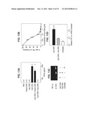 SUPPRESSORS OF CpG OLIGONUCLEOTIDES AND METHODS OF USE diagram and image