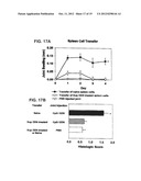 SUPPRESSORS OF CpG OLIGONUCLEOTIDES AND METHODS OF USE diagram and image