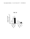 SUPPRESSORS OF CpG OLIGONUCLEOTIDES AND METHODS OF USE diagram and image