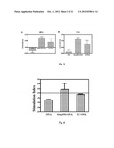 ADJUVANT FOR VACCINES, VACCINES THAT COMPRISE SAID ADJUVANT AND USES     THEREOF diagram and image