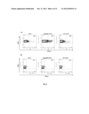 ADJUVANT FOR VACCINES, VACCINES THAT COMPRISE SAID ADJUVANT AND USES     THEREOF diagram and image