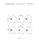 ADJUVANT FOR VACCINES, VACCINES THAT COMPRISE SAID ADJUVANT AND USES     THEREOF diagram and image