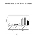 ADJUVANT FOR VACCINES, VACCINES THAT COMPRISE SAID ADJUVANT AND USES     THEREOF diagram and image