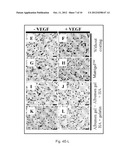 METHOD FOR INHIBITING ANGIOGENESIS diagram and image