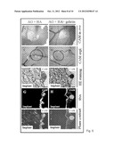 METHOD FOR INHIBITING ANGIOGENESIS diagram and image