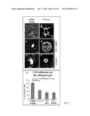 METHOD FOR INHIBITING ANGIOGENESIS diagram and image