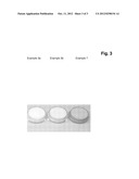 PARTICULATE UV PROTECTION AGENT diagram and image