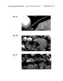 MICROCAPSULES COMPRISING BENZOYL PEROXIDE AND TOPICAL COMPOSITIONS     COMPRISING THEM diagram and image