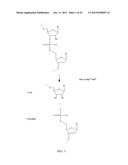 RNase H-Based Assays Utilizing Modified RNA Monomers diagram and image