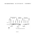 RNase H-Based Assays Utilizing Modified RNA Monomers diagram and image