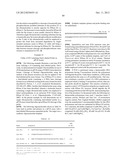 RNase H-Based Assays Utilizing Modified RNA Monomers diagram and image