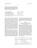 RNase H-Based Assays Utilizing Modified RNA Monomers diagram and image