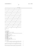 RNase H-Based Assays Utilizing Modified RNA Monomers diagram and image