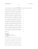 RNase H-Based Assays Utilizing Modified RNA Monomers diagram and image