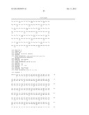 RNase H-Based Assays Utilizing Modified RNA Monomers diagram and image