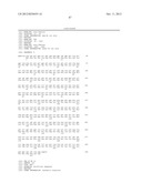 RNase H-Based Assays Utilizing Modified RNA Monomers diagram and image