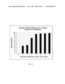 RNase H-Based Assays Utilizing Modified RNA Monomers diagram and image