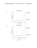 RNase H-Based Assays Utilizing Modified RNA Monomers diagram and image