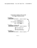 RNase H-Based Assays Utilizing Modified RNA Monomers diagram and image