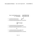 RNase H-Based Assays Utilizing Modified RNA Monomers diagram and image