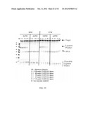 RNase H-Based Assays Utilizing Modified RNA Monomers diagram and image