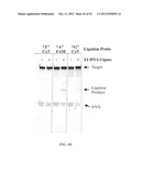 RNase H-Based Assays Utilizing Modified RNA Monomers diagram and image