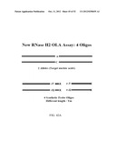 RNase H-Based Assays Utilizing Modified RNA Monomers diagram and image