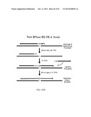 RNase H-Based Assays Utilizing Modified RNA Monomers diagram and image