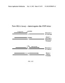 RNase H-Based Assays Utilizing Modified RNA Monomers diagram and image