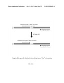 RNase H-Based Assays Utilizing Modified RNA Monomers diagram and image