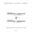 RNase H-Based Assays Utilizing Modified RNA Monomers diagram and image