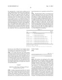 RNase H-Based Assays Utilizing Modified RNA Monomers diagram and image