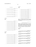 RNase H-Based Assays Utilizing Modified RNA Monomers diagram and image