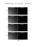 MONITORING RECOMBINASE POLYMERASE AMPLIFICATION MIXTURES diagram and image